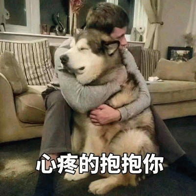 男子拥抱巨型狗狗 配文心疼的抱抱你