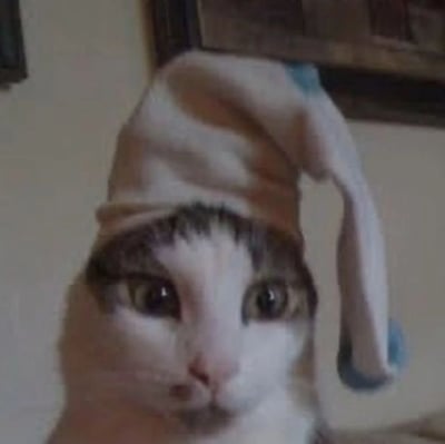 图片中是一只戴着棕色精灵帽的猫咪特写。猫咪有着白色和灰色相间的毛发，眼睛圆睁，表情看起来有些惊讶或困惑。帽子是尖顶设计，略微歪向一侧，显得十分可爱。背景是室内环境，隐约可见墙壁和木质家具的一部分。