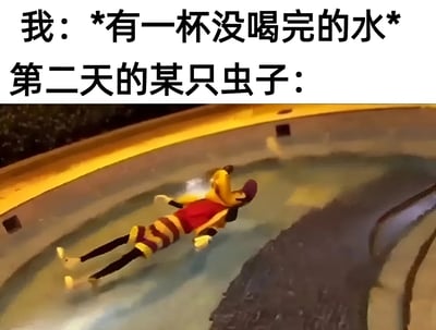 这张梗图通过上下对比的方式展现了一个生活趣事：上半部分文字描述"我：*有一杯没喝完的水* 第二天的某只虫子："，下半部分则是一张实拍图，图中一个黄色小鸟造型的玩具角色面朝下漂浮在水杯中，幽默地表现了隔夜水可能会吸引虫子的日常场景。