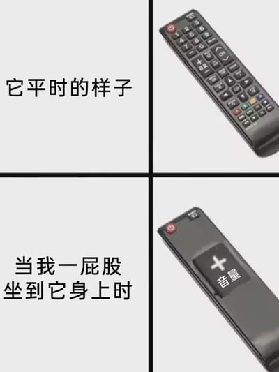 图片为2x2的四格对比图，左上格文字为'它平时的样子'，对应右上格的普通黑色遥控器（按键齐全，包括数字键、功能键等）；左下格文字为'当我一屁股坐到它身上时'，对应右下格的遥控器特写，此时音量+按钮被夸张放大并突出显示，幽默表现了不小心坐到遥控器后音量突然增大的生活场景。