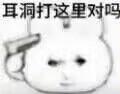这是一张经过P图改编的搞笑表情包，图中是一个面露疑惑的卡通小人，用箭头指向自己的太阳穴位置，配文“耳洞打这里对吗”，通过将耳洞位置故意指到错误的太阳穴处，制造出荒诞搞笑的效果，常用于调侃离谱的想法、搞笑的提问，或者在聊天中活跃气氛。