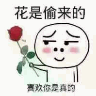 花是偷来的，喜欢你是真的