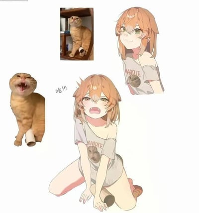 图片展示了一组橘猫与动漫女孩的表情对比图，共有四个部分：左上角是真实橘猫坐在架子上向上看的照片，左下角是同一只橘猫张嘴咆哮的照片，右上角是动漫风格的橘发女孩穿着印有猫脸图案和"MOODIE"字样T恤的平静表情插画，右下角是同一个动漫女孩模仿猫咪咆哮表情的插画，旁边配有"哈!!!"的文字。通过将真实猫咪的表情与动漫女孩的模仿表情并置，形成了幽默有趣的对比效果。