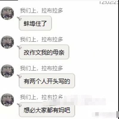 这是一张竖屏手机格式的聊天记录截图，用户“我们上，拉布拉多”在聊天中分享自己改《我的母亲》主题作文时的经历，先是用网络热词“蚌埠住了”表达自己的情绪，接着透露有两位学生的作文开头写着“想必大家都有妈吧”，这种离谱又接地气的奇葩开头充满了搞笑的反差感，让人哭笑不得。