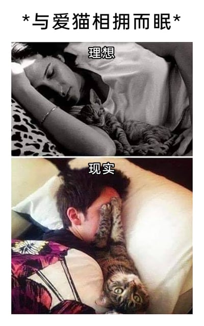 这是一张上下拼接的静态对比图，顶部标注文字“*与爱猫相拥而眠*”，将养猫人期待的共眠场景和实际日常做了反差呈现：上半部分“理想”场景里，一位女性侧卧在床上，神态安详地将一只猫咪抱在怀中，猫咪也慵懒地依偎在主人臂弯熟睡，画面温馨治愈；下半部分“现实”场景里，一位男性躺着睡觉，猫咪却用两只爪子紧紧捂住他的脸部，猫咪睁着圆溜溜的大眼睛，和理想中的温馨氛围形成强烈反差，生动又搞笑地展现了养猫过程中与预期不符的日常瞬间，精准戳中养猫群体的共鸣点。