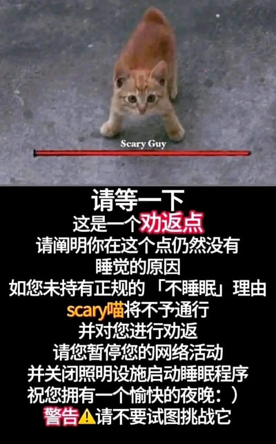 这是一张针对熬夜人群的搞笑二次创作梗图，图片上半部分是一只身体弓起、处于炸毛戒备状态的橘色小猫，小猫下方标注英文“Scary Guy”和一条贯穿画面的红色警示线，营造出威慑感；下半部分为黑色背景的白色与红色混合文字，以“劝返点”的官方口吻，要求此刻仍未睡觉的人阐明熬夜原因，若无法提供合理的“不睡眠”理由，就会被这只“scary喵”劝返，同时呼吁对方停止网络活动、关闭灯光进入睡眠，最后还加上“不要试图挑战它”的警告。整体内容幽默诙谐，用拟人化的方式调侃熬夜行为，兼具搞笑效果与提醒早睡的意图。