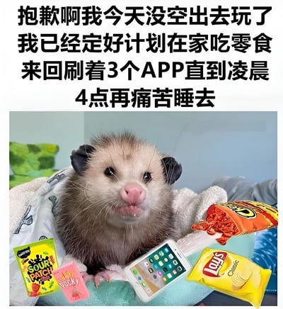 一张幽默风格的图片，上方有黑色大字写着："抱歉啊我今天没空出去玩了 我已经定好计划在家吃零食 来回刷着3个APP直到凌晨 4点再痛苦睡去"。图片主体是一只可爱的负鼠，周围环绕着各种零食，包括Lays薯片、Sour Patch Kids糖果等，爪子边还放着一部智能手机。这张图通过可爱动物与现代生活习惯的结合，幽默地表达了年轻人宁愿宅家玩手机吃零食也不愿出门社交的生活态度。