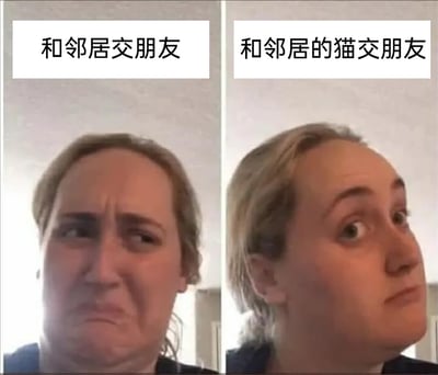 这是一张左右拼接的对比梗图，左侧上方配有文字“和邻居交朋友”，对应图中人物眉头紧皱、嘴角向下撇，面部肌肉紧绷，呈现出非常抗拒、不情愿的表情，精准表现出部分社恐人群面对与陌生人社交时的抵触心态；右侧上方配有文字“和邻居的猫交朋友”，对应图中人物眼睛睁大，眼神明亮，表情带着期待与兴奋，生动展现出猫爱好者面对可爱猫咪时的积极态度。整张图通过强烈的表情反差，调侃了当代部分人在人际社交与宠物社交之间截然不同的偏好，引发猫奴和社恐人群的共鸣。