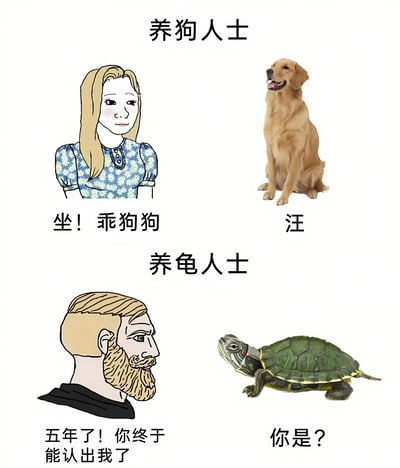 这张梗图通过上下两部分对比养狗和养龟人士的不同体验：上方养狗人士对金毛犬发出“坐！乖狗狗”的指令，狗狗立刻回应“汪”；下方养龟人士激动地说“五年了！你终于能认出我了”，而乌龟却疑惑地问“你是？”。图中养狗部分用卡通女性和真实金毛犬照片，养龟部分用卡通男性和真实乌龟照片，幽默地展现了宠物对主人的不同反应速度和认知程度差异。