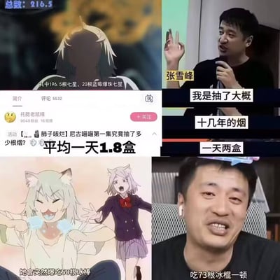 这是一张四格拼接形式的网络梗图，左上部分为动画《尼古喵喵》的片段，标注该动画第一集里角色累计抽烟216.5根，其中包含196.5根七星、20根蓝莓爆珠七星，搭配网友的提问帖内容，算出该角色平均一天要抽1.8盒烟；右上部分是张雪峰的采访截图，配文为张雪峰自述抽了十几年烟，一天要抽两盒；左下部分是《尼古喵喵》的另一动画片段，配文标注该角色会突然一次性吃50根冰棒；右下部分是张雪峰的直播截图，配文为张雪峰自述一顿能吃73根冰棍。整张图通过将动画角色的夸张设定和张雪峰的相关自述做对比，玩梗调侃动画设定的夸张程度远超现实中有类似极端习惯的人的水平，趣味性十足。