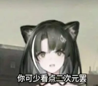 图片中是一个有着黑色长发和猫耳的动漫女孩，她表情略带不满地直视前方，背景是模糊的室内环境。图片下方配有文字“你可少看点二次元罢”，形成一种有趣的反差——一个二次元角色却在劝别人少看二次元内容。