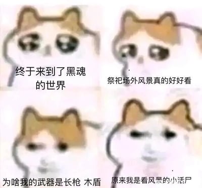 这是一张四格连环的文字加注表情包，使用了带有委屈、无奈神态的卡通猫形象，通过四格的表情和配文变化，完整展现了一名玩家进入《黑暗之魂》世界后的心理变化：第一格中卡通猫带着期待的眼神，配文“终于来到了黑魂的世界”，表现出玩家对进入知名魂类游戏世界的憧憬；第二格的猫眼神柔和，配文“祭祀场外风景真的好好看”，体现玩家初入游戏时被游戏场景吸引的状态；第三格的猫眼神疑惑又无奈，配文“为啥我的武器是长枪 木盾”，表现玩家发现自己初始装备简陋的落差感；第四格的猫表情释然又带着自嘲，配文“原来我是看风景的小活尸”，其中“活尸”是《黑暗之魂》里的游戏设定，玩家以此调侃自己在这个高难度游戏里，没有强力装备只能苟活，只能看看风景的处境。