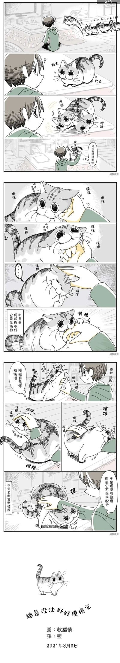 这是标注为2/4的连环漫画，描绘了男孩与一只特别的双头猫咪的互动日常。开篇男孩看着几只猫咪，其中一只双头猫在桌上来回挪动，主动蹭向男孩，男孩便开始抚摸它。过程中男孩担心伺候不好猫咪会惹它生气，结果不小心还是被猫咪咬了手，连忙道歉后继续抚摸，却发现这只双头猫咪总是扭来扭去不配合，男孩不禁感叹摸猫是个技术活，最后无奈地表示总是没法好好摸摸这只调皮的双头猫，整体故事充满治愈感，展现了人与宠物相处的小趣事。
