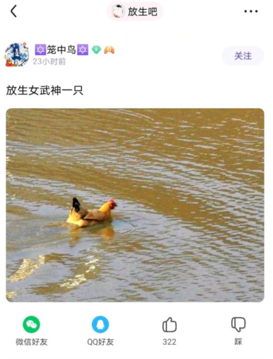 这是一张社交媒体平台的截图，用户“笼中鸟”23小时前发布了一条动态，配文为“放生女武神一只”，下方配图是一只家鸡在浑浊的水面上游动。这里运用了戏称的搞笑梗，将普通的家鸡调侃为“女武神”，结合鸡在水中的反常画面，制造出荒诞有趣的效果，属于网友分享的趣味日常内容，用来博人一笑。