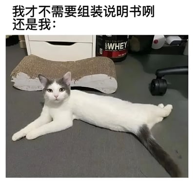图片上方配有文字'我才不需要组装说明书咧 还是我：'，下方是一只灰白相间的猫伸展身体躺在灰色地板上，身后是一个破碎的弧形猫抓板（中间断裂，露出白色内芯），背景中可见白色抽屉柜、黑色蛋白粉桶（印有'WHEY'字样）及办公椅滚轮。通过文字与画面的幽默对比，展现了人们自信不需要说明书却搞砸组装的自嘲场景，猫的淡定表情更凸显了这种反差萌。