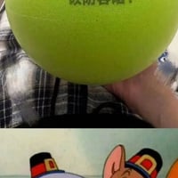猫和老鼠