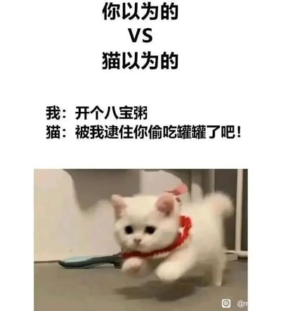 这是一张图文结合的搞笑梗图，上方以“你以为的VS猫以为的”作为核心标题，展现主人与猫咪之间的认知差异：主人的真实行为只是想打开一罐八宝粥，但在猫咪的认知里，主人是在偷吃专属的罐罐零食。图中的白色小奶猫戴着红色针织项圈，正急匆匆地朝着镜头方向奔跑，神情认真又带着急切感，生动还原了猫咪误以为主人偷吃零食时，想要抓“现行”的可爱姿态，用宠物的可爱误解制造出幽默效果，精准贴合养猫人群的日常体验，容易引发铲屎官们的共鸣。