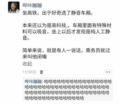 本图片是一则关于高铁静音车厢的幽默微博评论截图。楼主以为静音车厢采用了高科技吸音材料，实际体验后发现，所谓静音只是乘务员在有人说话时让人闭嘴，实现了“人工静音”，让人忍俊不禁。评论区一串“哈哈哈哈”强化了搞笑气氛，表达出网友的无奈与幽默共鸣。

图中用“人工静音”一词形成了小小的反差和双关梗，既离谱又现实，非常贴近生活。