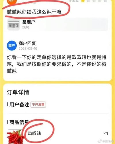 这是一张外卖订单售后对话的截图：用户在2023-09-15吐槽商家，称自己点的是微微辣，餐品却做得太辣；商家在次日回复，指出用户实际选择的是「嗷嗷辣（特辣）」，是按照用户要求制作的。下方的订单详情也明确显示商品为「嗷嗷辣」，备注为「不开发票」，属于用户自己记错/点错辣度的乌龙事件，充满搞笑的反差感。