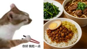 这张梗图由两部分组成：左边是一只橘色猫咪侧身手持筷子，脸上表情平静和带有一点渴望，下方配有“你好 我吃一点”的文字。右边则展示了一桌诱人的中餐饭菜，包括卤肉饭、绿叶蔬菜和红烧牛肉面。整体画面表现了一种“看到美食想分一口，想要参与聚餐”的情景，带有强烈的互动感和可爱氛围。猫咪配文字方式模仿了现实中讨食的场景，极具社交性与代入感。

图片未涉及谐音梗或不良暗示，仅以猫咪趣味表现方式表达对美食的向往和轻松、幽默的氛围，非常适合评论区互动及饭点时段使用。
