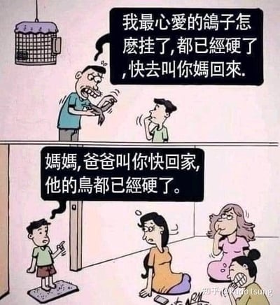 这是一幅上下分栏的连环卡通漫画：<br>上半部分：爸爸手里拿着已经僵硬的死鸽子，一脸惊慌悲痛地对孩子说，自己心爱的鸽子死了已经硬了，让孩子去叫妈妈回来。<br>下半部分：孩子跑到正在和朋友聚会的妈妈面前传话，直白地说“爸爸叫你快回家，他的鸟都已经硬了”。<br>双关梗说明：中文里“鸟”除了指鸟类，还有指代男性生殖器的隐晦含义，孩子的直白传话造成了乌龙误会，让妈妈和她的朋友露出震惊尴尬的反应，利用多义词制造出搞笑效果。
