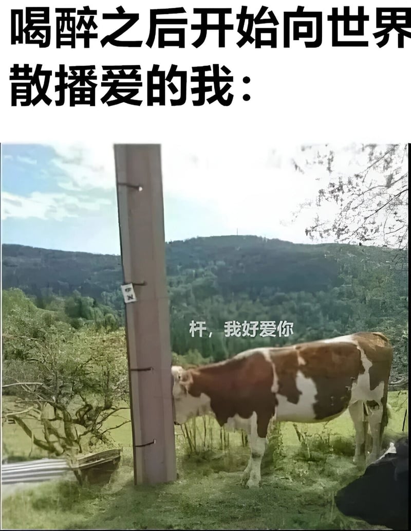 奶牛
