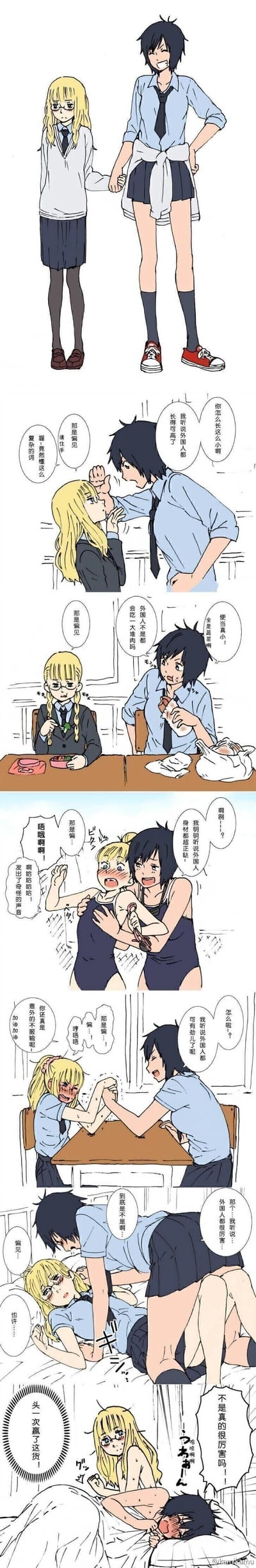 这是一组竖版百合向连环条漫，讲述了黑发高个子女生对金发外国矮个子女生产生了诸多关于外国人的刻板印象，包括“外国人都很高”“外国人都吃很多肉”“外国人身形丰满”“外国人力气大”“外国人在亲密互动中更厉害”等，每次金发女生都指出这是偏见，最后在亲密肢体互动里，金发女生反而占据上风，彻底打破了黑发女生的所有偏见，两人的互动充满反差萌与姬情。