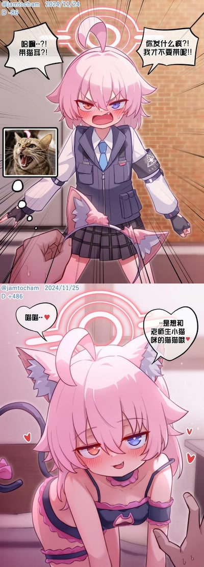 这是一张《蔚蓝档案》角色小鸟游星野的同人反差梗图，通过时间差的前后对比玩“真香定律”：
- 上方是D-86的场景：星野看到要戴猫耳，瞬间炸毛，脸红愤怒地大喊拒绝，旁边还配了一张张嘴炸毛的现实猫咪表情包，完美复刻她的暴躁抗拒情绪；
- 下方是D+486的场景：星野彻底“真香”，不仅戴上猫耳和尾巴，还换上了可爱的猫娘服饰，一脸娇羞地对着“老师”撒娇，说出“是想和老师生小猫咪的猫猫哦”的亲昵话语，前后反差拉满，趣味十足。