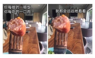 这是一张由左右两张照片拼接而成的连环图，采用第一人称与拟人化结合的配文方式。左侧图的前景是叉子叉着一块被咬过的香肠，配文以主人的视角叙述“你每做的一顿饭，你每吃的一口肉...”，背景是室内的木质餐桌与客厅环境；右侧图保持相同的前景视角，背景的客厅区域中可以看到一只宠物狗正专注地朝着食物的方向注视，配文以狗狗的拟人化口吻补充“我都会远远地看着”，生动还原了宠物狗日常渴望分享主人食物的可爱状态，用幽默的方式展现了宠物与主人相处的趣味日常。
