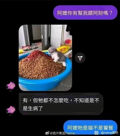 这是一张结合P图与聊天记录的搞笑网络meme，内容模拟主人与阿嬷的对话：主人委托阿嬷照顾自己的猫阿财，询问是否投喂，阿嬷发送了一张经过修改的图片——一只小猫待在一个装满猫粮的蓝色大盆里，猫粮堆积如山，阿嬷表示已经投喂，但猫不怎么吃，担心猫生病，主人无奈回复“阿嬷牠是貓不是饕餮”。笑点源于阿嬷过度投喂的夸张行为，将小猫的食量和传说中贪吃的饕餮混淆，巨大的猫粮量与弱小的小猫形成强烈反差，生动调侃了长辈照顾宠物时容易过度投喂的日常误会，充满生活趣味。