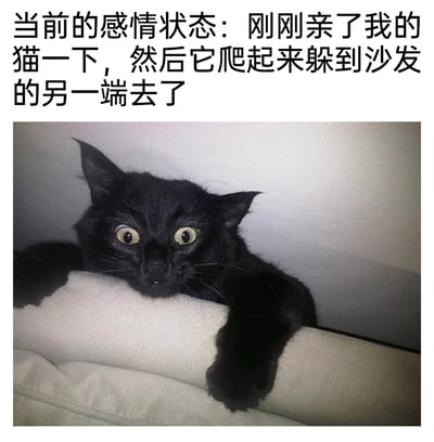 这是一张图文结合的搞笑宠物内容图，上方配文以“感情状态”为切入点，幽默吐槽了铲屎官亲了自家猫之后，猫立刻爬起来躲到沙发另一端的趣事；下方的照片中，一只黑猫两只前爪搭在浅色沙发靠背上，眼睛圆睁，眼神里满是震惊与惊恐，表情错愕，完美呼应了配文里猫被亲后的抗拒反应，用宠物的真实可爱瞬间制造出搞笑的反差感，生动展现了铲屎官与宠物之间充满趣味的日常互动，容易引发养宠人士的共鸣。