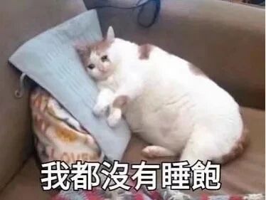 这是一张静态单图，属于文字加注的表情素材图，由真实宠物照片改编而来。图中是一只白棕相间的胖猫咪，瘫靠在沙发的角落，前爪搭在沙发靠垫上，眼神疲惫涣散，面部神态尽显困倦。图片底部添加了繁体转简体为“我都没有睡饱”的文字，精准契合猫咪的疲惫状态，这张图常被用作表情包，用来表达人们缺觉、疲惫不堪、不想起身活动的情绪，在日常聊天和社交媒体中十分受欢迎。