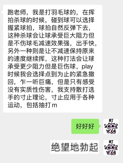 这是一张聊天记录截图，展示了一位羽毛球爱好者向"跑老师"请教羽毛球技巧的对话。内容主要讨论了两种杀球方式的区别：一种是握紧球拍让其自然反弹，虽给球巨大阻力但不伤球毛且减速效果强；另一种是不减速继续挥拍，虽让球承受更少阻力但巨伤球。发送者表示自己会选择点到为止的紧急撤回方式，并支持散打选手的寸止理论，认为寸止可应用于各种运动。对话下方有"好好好"的回复和带有"盯"字的猫表情包，以及"绝望地勃起"的文字。