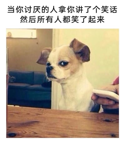 这是一张用于表达社交负面情绪的宠物表情包，上方配有文字“当你讨厌的人拿你讲了个笑话然后所有人都笑了起来”。图中主体是一只神态幽怨、表情满是不爽与憋屈的小狗，它耷拉着耳朵，趴在木质桌子边缘，背景是带有沙发的居家客厅，旁边还有人手持手机。这张图通过小狗的真实神态，精准还原了当自己被讨厌的人当作调侃对象，同时周围人还跟着起哄发笑时，内心那种窝火、尴尬又无力的情绪，能够让很多人在遇到类似社交场景时产生强烈的情绪共鸣，常被用于社交聊天中抒发自己的这种负面感受。