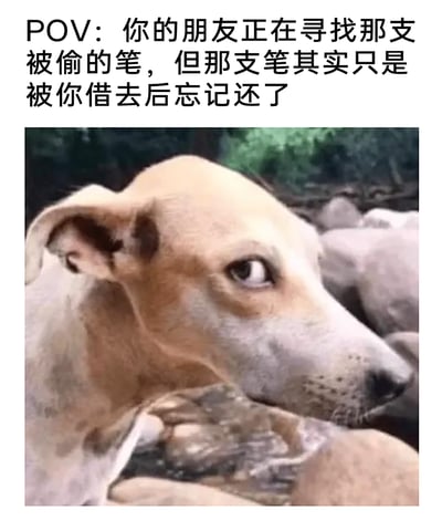 这是一张拟人化的搞笑梗图，上方配文设定了一个日常场景：“POV：你的朋友正在寻找那支被偷的笔，但那支笔其实只是被你借去后忘记还了”，下方是一只灵缇类的狗狗，它眼神闪躲、耳朵耷拉，将脸侧转回避视线，满脸的心虚与忐忑，完美还原了当事人明知自己“理亏”却不敢主动承认，只能尴尬旁观朋友寻找物品的小社死心态，用动物的神态生动地放大了这种日常里的小尴尬，让观者极易共情。