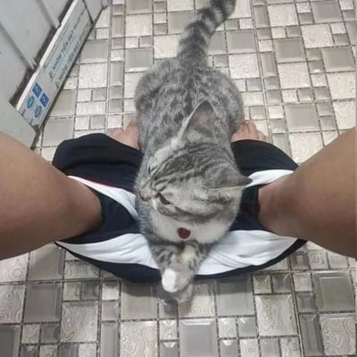 一只灰色虎斑猫乖巧地趴在主人的双腿之间，仰头望着镜头，表情十分放松惬意。主人穿着黑白相间的短裤，双脚赤裸站在带有花纹的瓷砖地板上。画面左侧可以看到部分带有文字的门垫或标牌，整体场景展现出人与宠物间温馨治愈的日常互动。