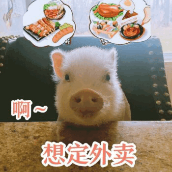 小猪想吃外卖的日常