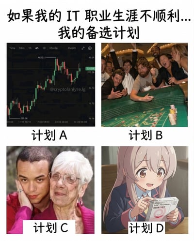这是一张四宫格拼接的恶搞自嘲梗图，顶部标注大字标题“如果我的 IT 职业生涯不顺利...我的备选计划”，四个分区分别对应四个离谱的备选出路：左上计划A是持续上涨的加密货币K线走势图，指代职业不顺就去炒币赚钱；右上计划B是一群人在赌场赌桌前兴奋欢呼的合影，指代去赌博发财；左下计划C是年轻男性亲密依偎年迈白发富婆的合影，指代傍富婆吃软饭；右下计划D是二次元动漫少女手持补佳乐戊酸雌二醇片（该药物常用于跨性别女性激素替代治疗），调侃转型成为跨性别女性。整张图以搞笑自嘲的方式吐槽IT行业竞争压力大、职业发展不确定性高，玩梗展示了IT从业者职业不顺时的离谱出路，内容搞笑针砭。