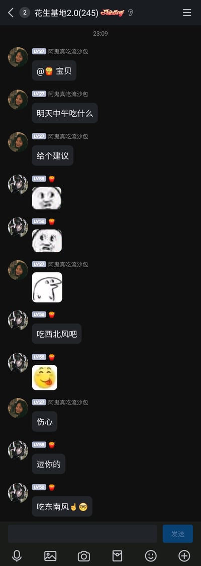 这是一张名为“花生基地2.0(245)”的群聊截图，时间显示为23:09。用户“阿鬼真吃流沙包（LV27）”@了昵称带薯条表情的“宝贝（LV58）”，询问明天中午吃什么并请求建议。对方先是发送了两张熊猫头表情包，随后开玩笑回复“吃西北风吧”并搭配滑稽舔嘴表情，阿鬼回复“伤心”，对方随即表示“逗你的”，接着又开玩笑说“吃东南风✌😎”，互动过程中双方还发送了多个搞笑表情包，整体是熟人好友间轻松诙谐的日常饮食话题互动。