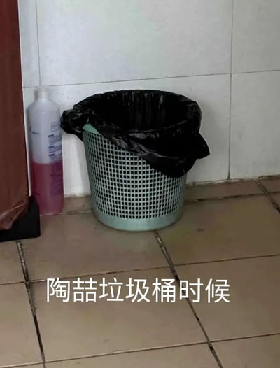 这是一张室内实拍的静态图，画面主体是一个套着黑色垃圾袋的绿色网格状圆形垃圾桶，放置在带有缝隙的米黄色瓷砖地面上，垃圾桶左侧靠墙处有一瓶剩余约半瓶粉色液体的洗护用品，背景是浅色的瓷砖墙面。图片底部添加了白色文字“陶喆垃圾桶时候”，利用“陶喆”与“掏着”的发音相近的特点，创作了一个谐音梗，实际想表达的是“掏着垃圾桶时候”的含义，是将日常场景与文字趣味结合的创作。
