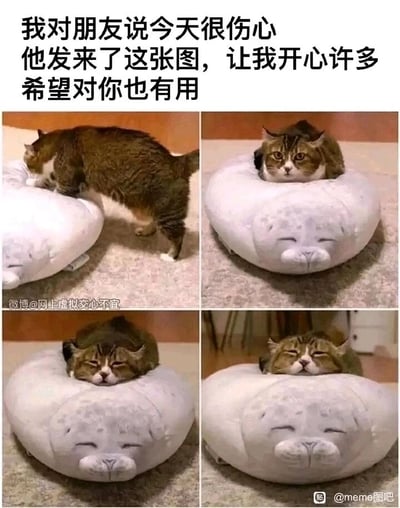 这是一组由四张实拍图片拼接而成的连环图，完整记录了一只棕黄带斑纹的猫咪与海豹造型抱枕的互动全过程：第一张图中猫咪正迈步爬上海豹抱枕；第二张图里猫咪将脑袋钻进抱枕的专属孔洞，只露出脑袋，眼神带着好奇；第三张图猫咪把脸贴在抱枕上，双眼紧闭，神态变得放松；第四张图猫咪完全趴在抱枕顶端，脑袋枕在上面，一脸惬意满足。图片上方配有文字说明，发布者表示自己在伤心时收到朋友发来的这组图，心情得到了舒缓，因此也希望这组图能给其他看到的人带来慰藉。整组图通过猫咪软萌可爱的互动和逐渐放松的神态，传递出温暖治愈的氛围，能有效缓解负面情绪，让人感到愉悦。