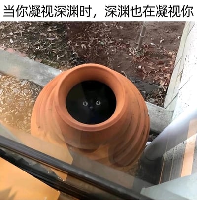 这是一张实拍的趣味梗图，画面主体是一只纯黑色猫咪，它躲藏在一个土黄色的螺旋纹陶罐内部，由于猫咪通体黑色，陶罐内部光线昏暗，只有猫咪的一双明亮眼睛露在外面，正专注地直视镜头方向。图片顶部添加了德国哲学家尼采的名言“当你凝视深渊时，深渊也在凝视你”，将深邃的陶罐内部比作“深渊”，猫咪的凝视就像深渊的回望，用可爱的动物场景解构了富有哲思的名言，营造出一种既诙谐又略带诡异的反差感，十分贴合网络玩梗的趣味风格。