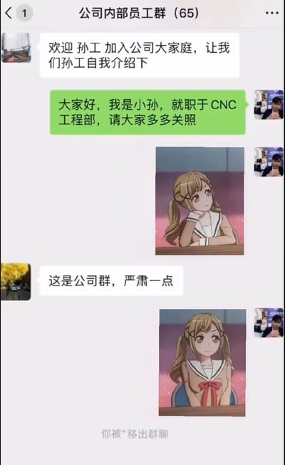 这是一张微信公司内部员工群的聊天截图，该群共有65名成员，聊天流程为：老员工欢迎新员工孙工进群，邀请孙工作自我介绍，孙工介绍自己是CNC工程部的小孙，请大家多多关照后，发了一张二次元少女托腮放松的表情包；随后有老员工发言指责“这是公司群，严肃一点”，孙工随即更换了一张同一个二次元少女端正坐好、表情正经拘谨的表情包，最终图片底部显示系统提示“你被移出群聊”，是一则调侃僵化职场氛围的搞笑段子截图。