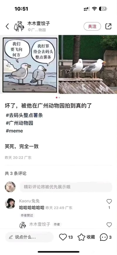 这是一条来自小红书平台的趣味帖子，用户「木木壹饺子」在广州动物园拍摄到两只海鸥，它们站立的姿态与知名网络梗图《去码头整点薯条》中的两只卡通海鸥高度重合。帖子采用左右对比的形式，左侧是带有对话气泡的梗图，内容为一只海鸥问「我们要飞向何方」，另一只回应「我打算待会去码头整点薯条」；右侧是实拍的两只海鸥，姿态和梗图里的海鸥完全对应。帖子配文「坏了，被他在广州动物园拍到真的了」「笑死，完全一致」，并添加了#去码头整点薯条 #广州动物园 #meme的标签，评论区有用户留下「哈哈哈哈哈哈」的趣味评论，整个内容通过现实场景与经典梗图的完美复刻，营造出荒诞又搞笑的氛围，引发网友的共鸣。