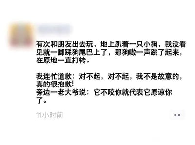 这是一张社交媒体平台的纯文字动态截图，内容是一位网友分享的生活趣事：该网友和朋友外出时，没留意到地上趴着的小狗，不小心一脚踩在了狗尾巴上，小狗被踩后疼得嗷叫着跳起来，在原地不停打转。网友见状连忙对着小狗道歉，旁边的老大爷见状调侃道“它不咬你就代表它原谅你了”，整个段子充满生活化的幽默感，用轻松搞笑的方式展现了日常里的小尴尬与趣味瞬间，没有双关、谐音梗等特殊表意手法，就是直白的日常趣事分享。