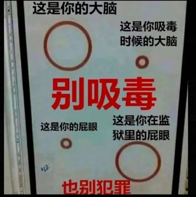 这是一张采用夸张低俗风格的警示海报，通过图文对比的方式传递禁毒与反犯罪的理念。海报上半部分以大圆圈象征健康完整的大脑，小圆圈象征吸毒受损后的大脑，搭配对应文字说明，中间用醒目的红色大字标注“别吸毒”；下半部分以小圆圈象征正常状态的肛门，大圆圈象征入狱后的状态，搭配对应文字，底部用红色大字标注“也别犯罪”。这种用直白甚至低俗的比喻，以夸张的视觉对比强化警示效果，让受众更直观地感受到吸毒和犯罪带来的不良后果，以此达到宣传警示的目的。