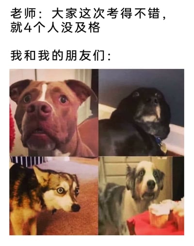 这是一张图文混排的搞笑表情包，上方文字分为两部分，第一部分是老师的发言“大家这次考得不错，就4个人没及格”，第二部分标注“我和我的朋友们：”，下方是四张拼接在一起的狗狗图片，每只狗狗都露出惊恐、慌张、难以置信的表情，生动地表现出当听到班级不及格人数刚好是自己和朋友的数量时，内心的慌乱、震惊与不安，用拟人化的狗狗表情精准戳中考试后担心自己不及格的学生心态，内容搞笑且容易引发学生群体的共鸣。