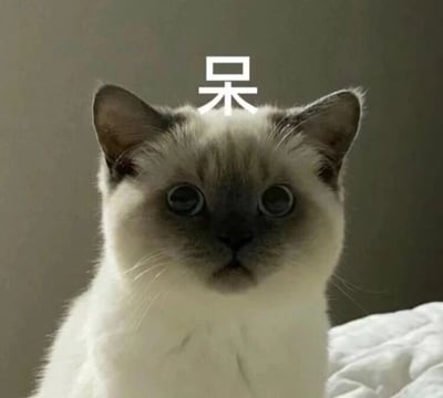 一张灰白色暹逻猫的特写照片，猫咪表情呆滞，双眼圆睁直视前方，头顶被添加了白色的'呆'字，形成幽默效果。猫咪的毛色特征明显，脸部、耳朵和尾巴呈深色，身体为浅色。背景为模糊的浅色墙面，突出猫咪主体。