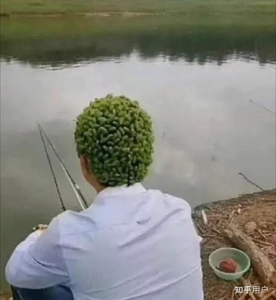 一名男子坐在河边钓鱼，但他的头发被恶搞成了一颗颗小黄瓜，看起来就像脑袋长满了蔬菜。整个画面搞怪有趣，是网友常见的发型恶搞类表情包。视觉反差带来了浓浓的土味幽默感，适合作为调侃或无厘头吐槽图使用。
双关梗：用小黄瓜替代头发，暗指“瓜头”（笨/呆/有趣）。