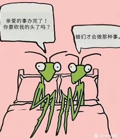 这是一幅原创手绘卡通静态漫画，画面以粉色床品为背景，两只绿色螳螂并排坐在床上。左侧的公螳螂眼睛圆睁，带着紧张不安的情绪，向右侧的母螳螂发问，内容是基于螳螂交配后母螳螂会吃掉公螳螂的生物习性，担心自己会被砍掉头部；而右侧的母螳螂则一脸淡定，用“娘们才会做那种事”的回应打破了大众对螳螂这一习性的固有认知，通过反套路的对话制造出强烈的反差感，从而产生幽默搞笑的效果。